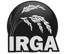 Logo 9